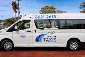 holiday taxi behaviour