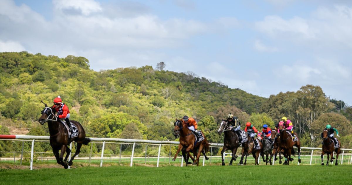 Lismore Christmas Cup