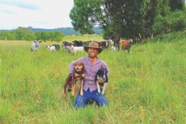 Byron regenerative farming
