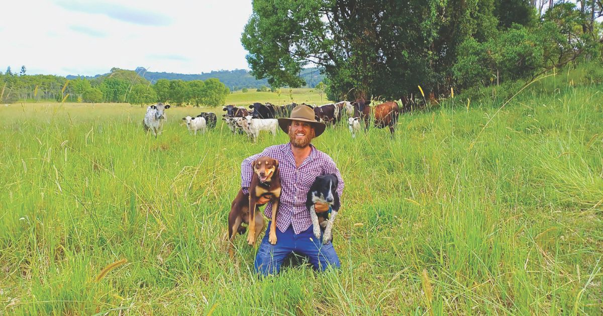 Byron regenerative farming