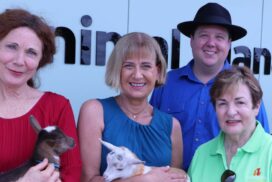 Tweed animal shelter