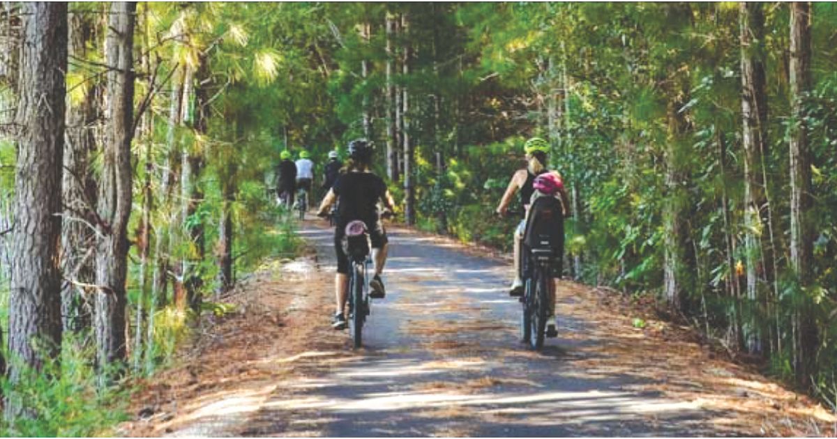 Tweed Rail Trail