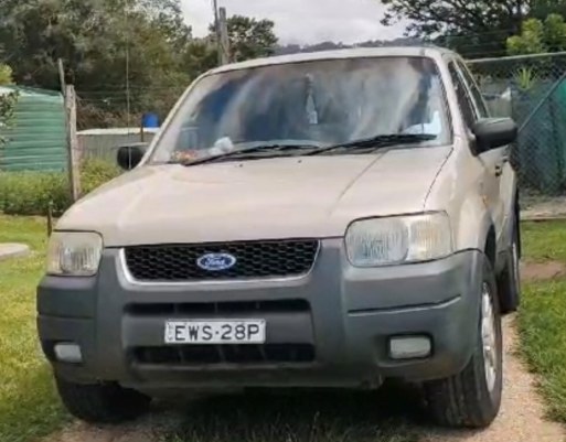 Gold Ford Escape wagon with NSW registration EWS28P, the vehicle Yvonne Whear was driving when she was last seen on February 19. Photo: SUPPLIED