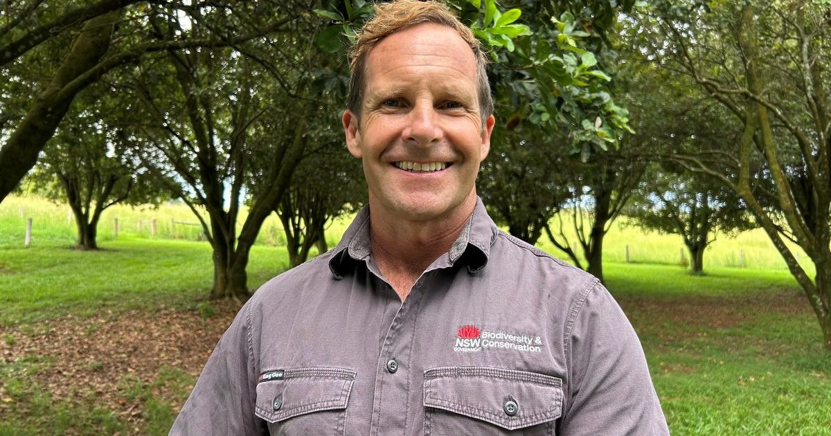 Macadamia farming runoff study