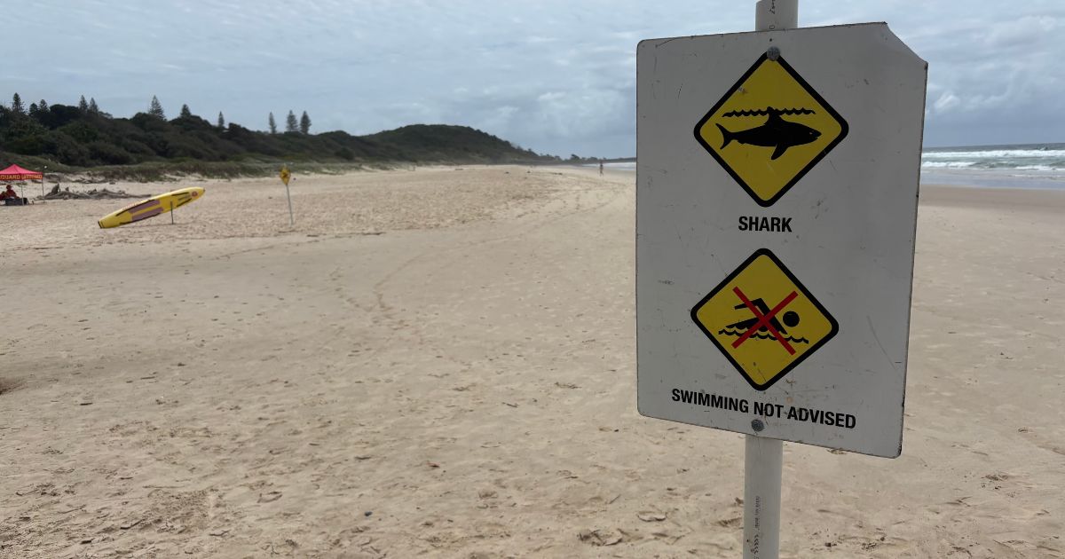 Ballina shark incident