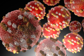 The measles virus is highly contagious and spreads through the air when an infected person coughs or sneezes. Photo: SUPPLIED