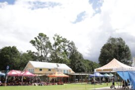 Interschool cross country