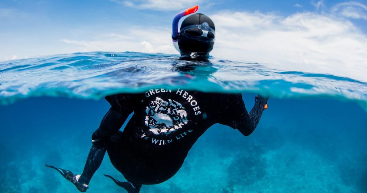 Snorkel Conservation Tours