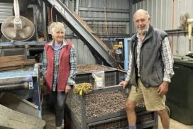 Northern Rivers farmers
