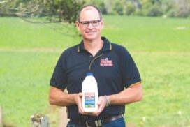 Norco milk