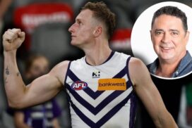 Fremantle Dockers