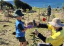 Lennox Head tree planting