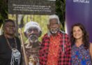 Murwillumbah film screening