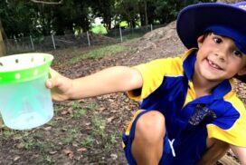 Northern Rivers public schools