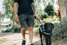 assistance animals policy