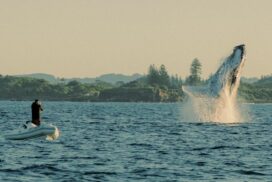 Craig Parry Photography Tours