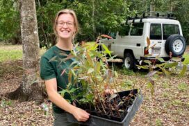 Urban tree planting grants