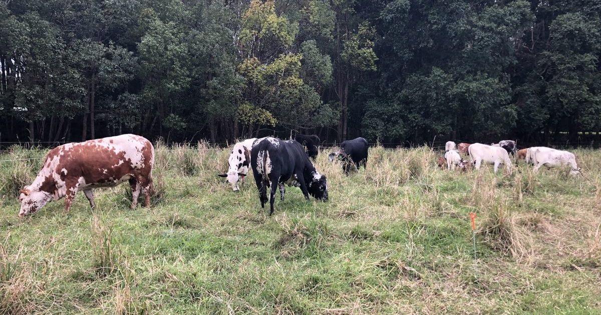 Regenerative Agriculture Grants