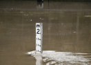 A flood marker is seen as Parramatta ferry wharf and river walk are flooded, at Parramatta, Sydney, Thursday, August 21, 2025. Photo: AAP