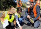 Lismore road restoration