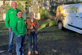 Murwillumbah flood homes