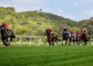 Lismore Cup