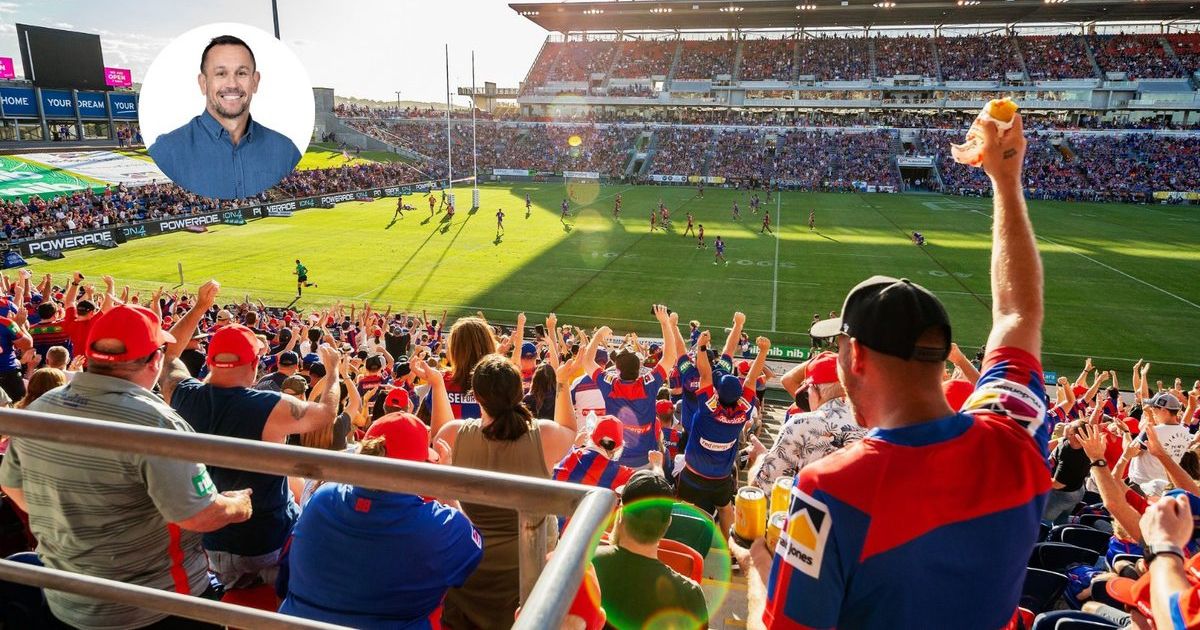 Knights coaching search