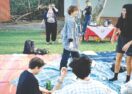 Tweed art spaces