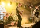 WILD AID Byron Bay fundraiser