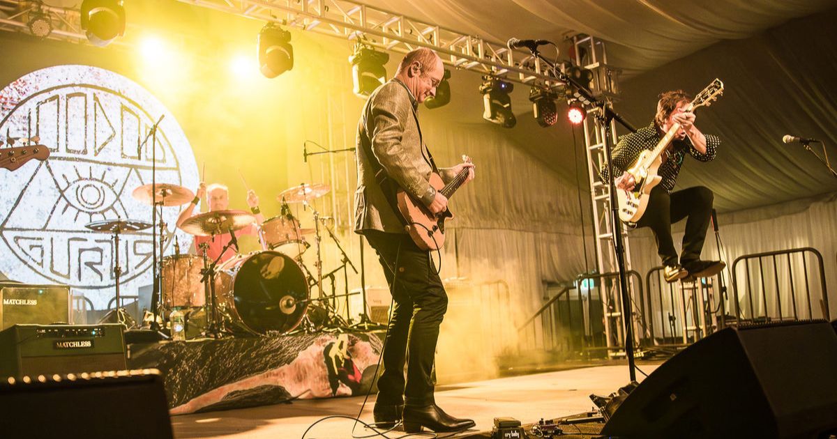 WILD AID Byron Bay fundraiser