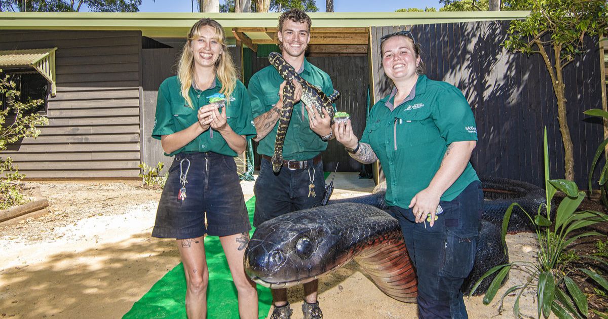 Byron Bay Reptile House