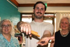 Murwillumbah Seed Library