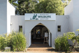 Byron Bay Wildlife Sanctuary has entered voluntary administration following a decision by its directors. Photo: SUPPLIED