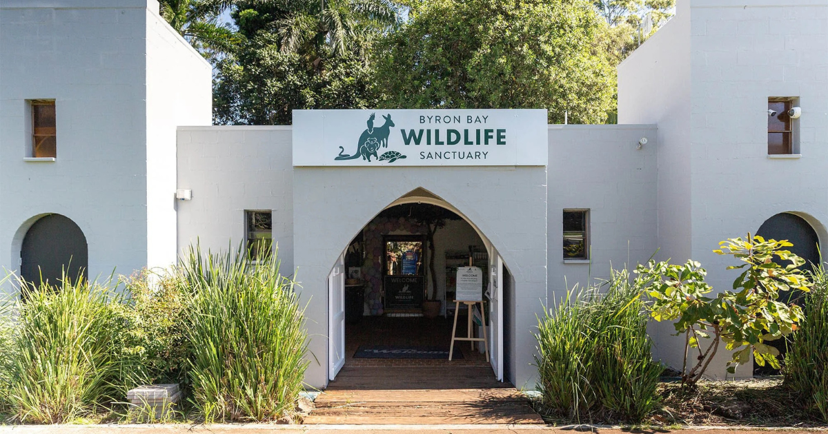 Byron Bay Wildlife Sanctuary has entered voluntary administration following a decision by its directors. Photo: SUPPLIED