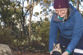 Mongo Valley Sanctuary