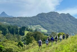 Tweed regenerative agriculture