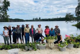 Lake Ainsworth weed control