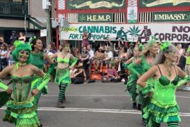 Northern Rivers festivals