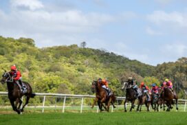 Lismore Christmas Cup