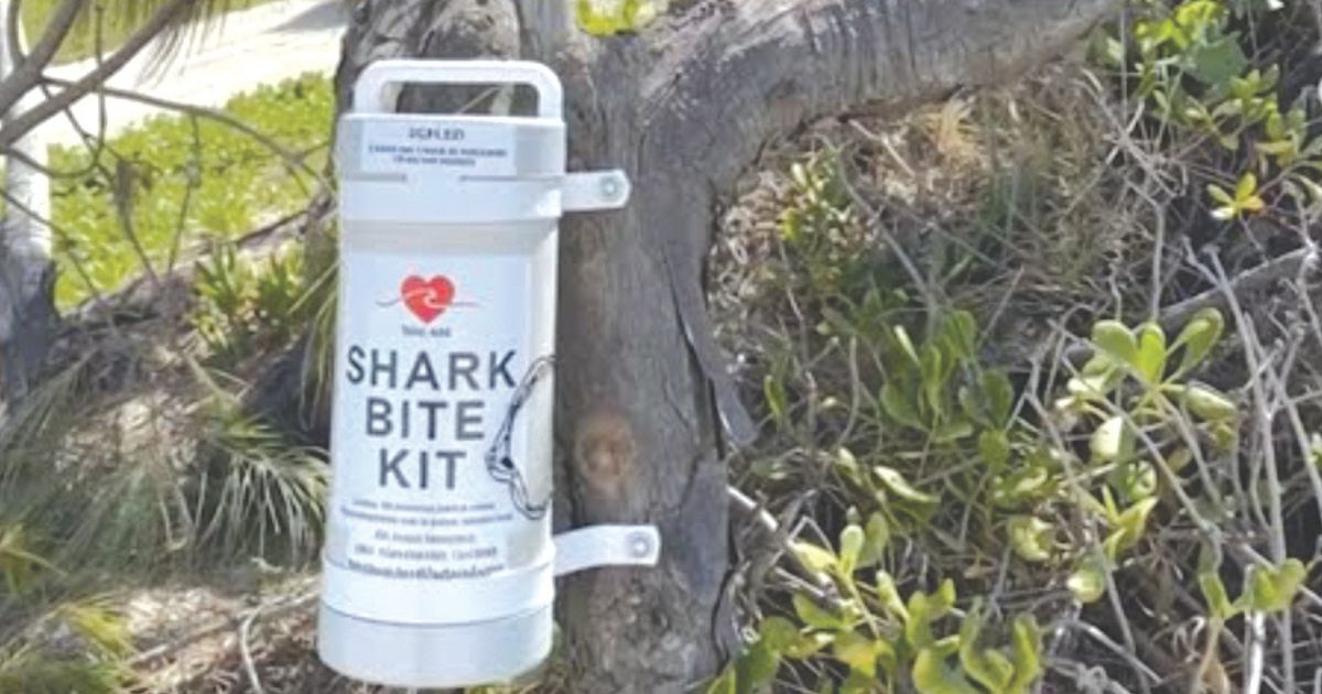 NSW shark safety