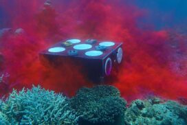 Coral Larval Seedbox Restoration