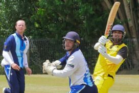 Terranora Lakes cricket