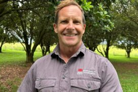 Macadamia farming runoff study