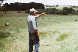 NSW on-farm carbon plans