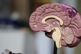 Glioblastoma growth driver