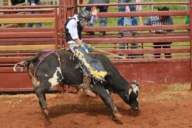 Alstonville Rodeo Event