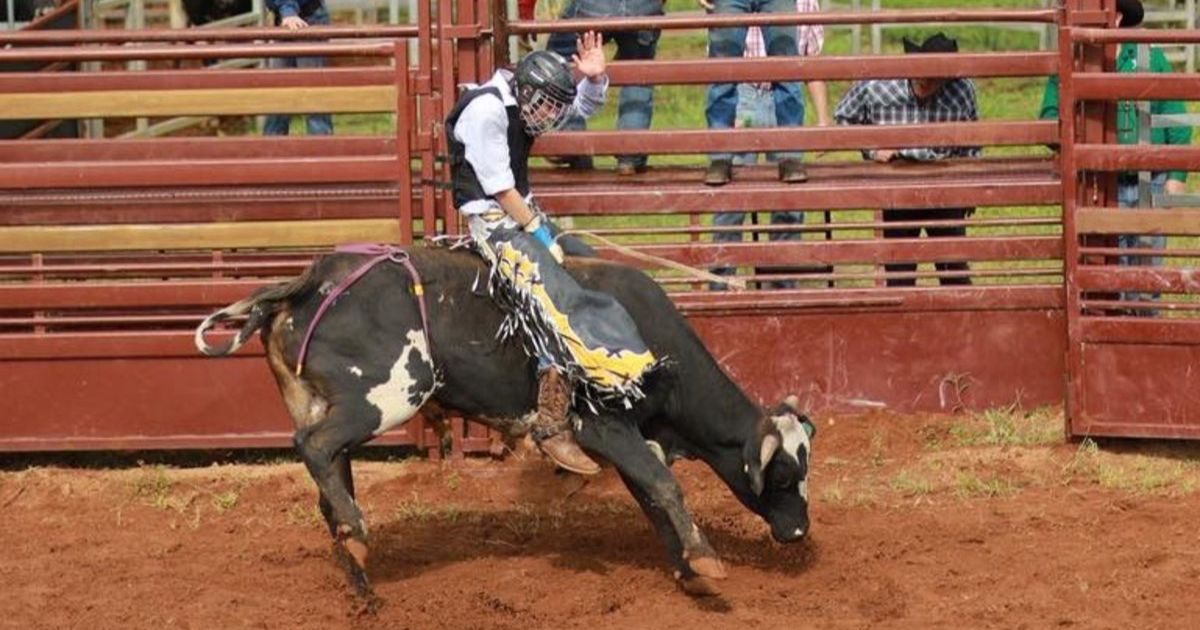 Alstonville Rodeo Event