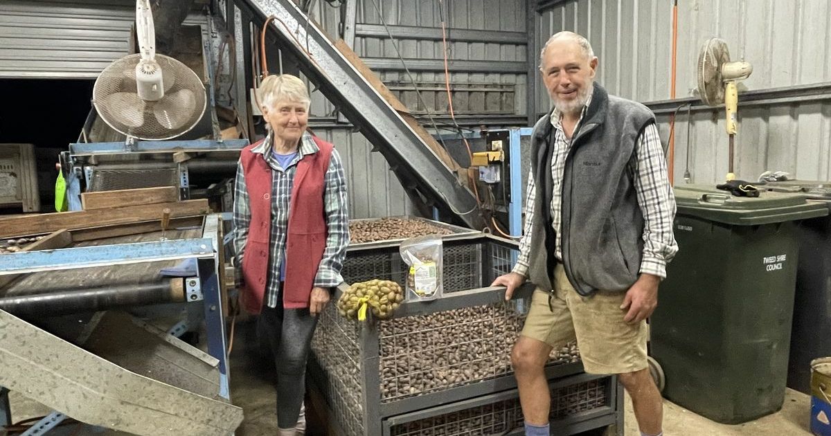 Northern Rivers farmers