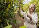 kiwi berry business