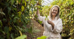 kiwi berry business